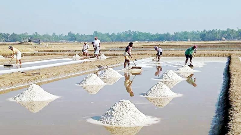 হতাশ কক্সবাজারের প্রান্তিক লবণ চাষিরা