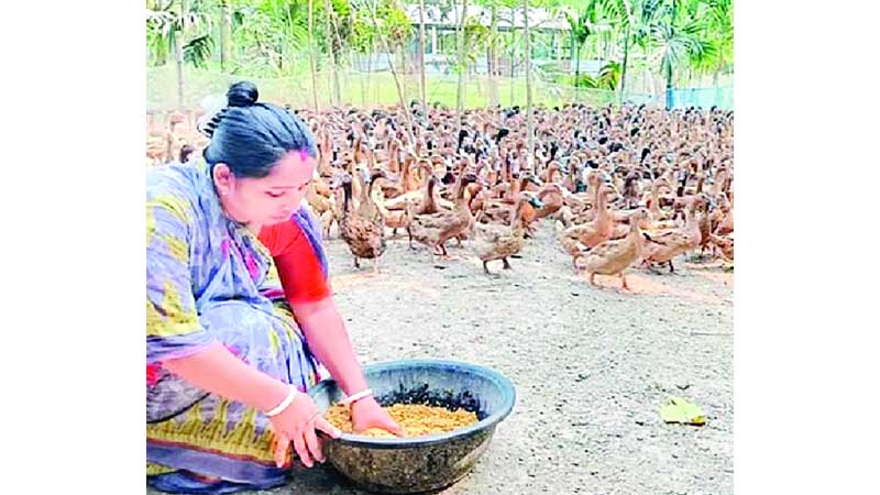 জয়শ্রীর জয় ॥ টিউশনি থেকে হাঁসের খামার