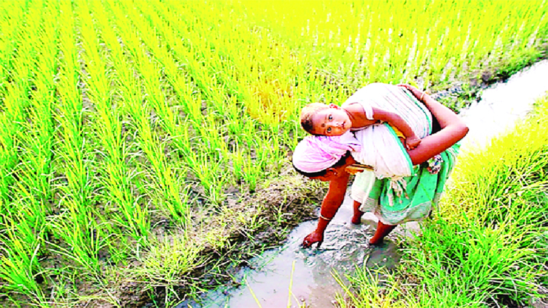 শ্রমশক্তিতে নারী