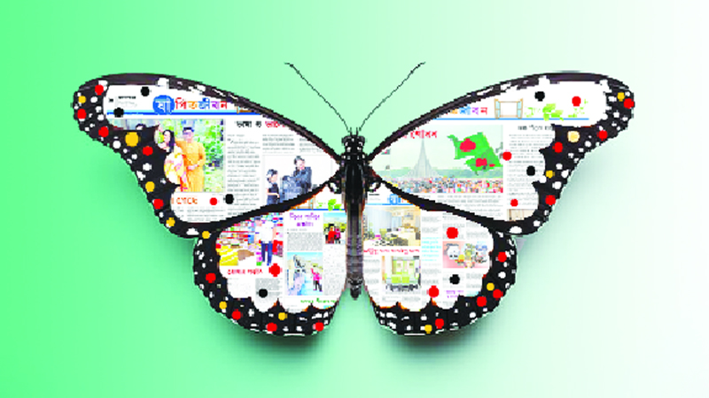 একটি রঙিন প্রজাপতি