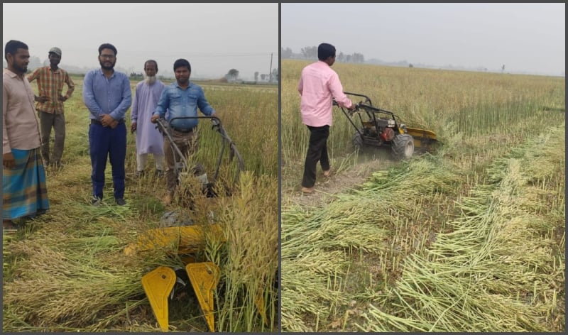 রিপার যন্ত্রে সরিষা কাটায় খরচ কমছে, লাভের হাসি কৃষকের মুখে