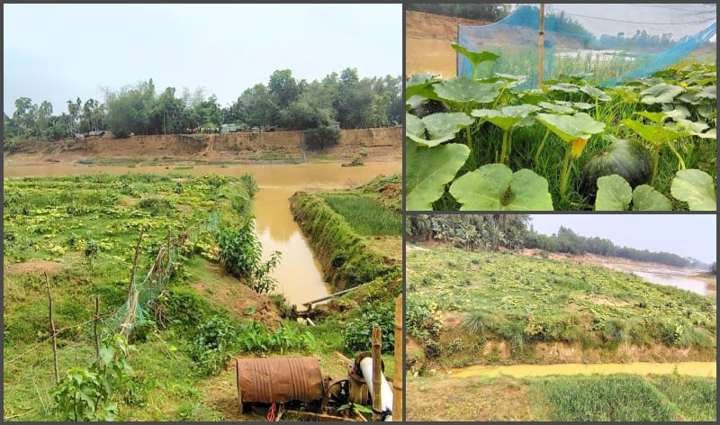 নালিতাবাড়ীর ভোগাই নদীর জেগে উঠা চরে সবজি চাষ করে লাভবান কৃষক