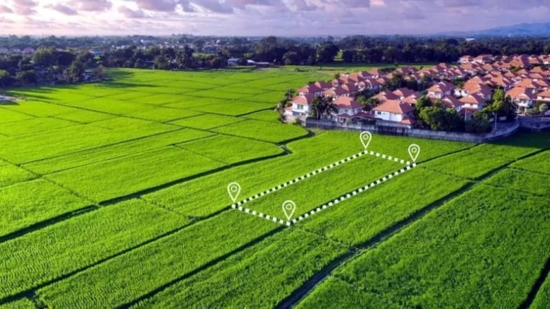 নতুন নিয়মে জমির খাজনা পরিশোধ না করলে হারাতে পারেন আপনার জমি