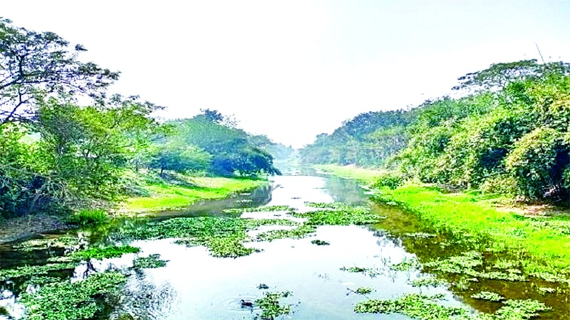 বেগবতী নদী    -জনকণ্ঠ