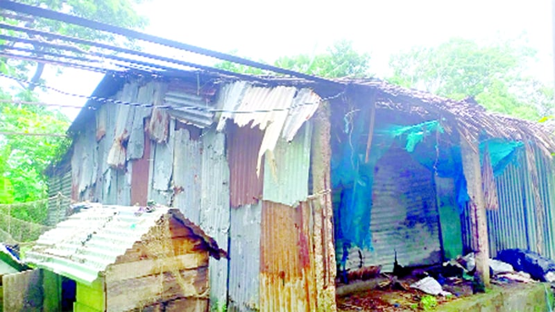 কলাপাড়ায় গামুরিবুনিয়া আবাসন প্রকল্পের ঘরগুলো বসবাসের অযোগ্য    -জনকণ্ঠ