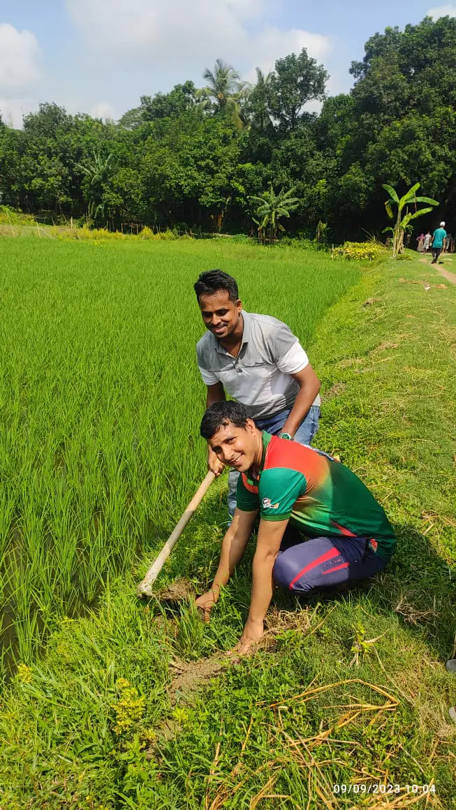 তালবীজ রোপণ চলছে।
