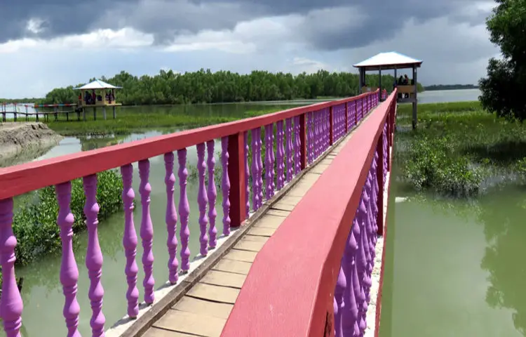 আকাশনীলা ইকো সেন্টার থেকে দূরে সুন্দরবন।